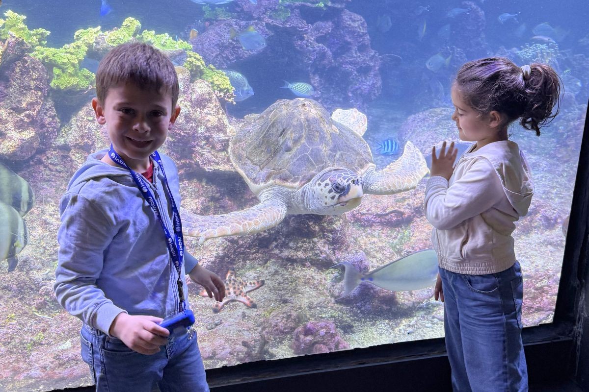 acquario di Genova